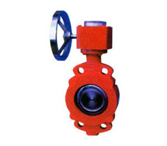 ƫ��������̖���y