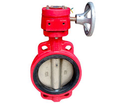 ������̖���y