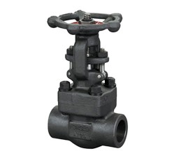 �䓺����l�y