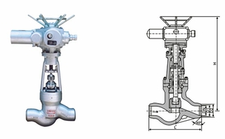 늄Ӻ��ӽ�ֹ�y