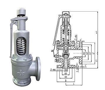 ���P����˰�ȫ�y